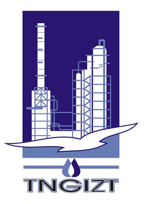 TNGIZT logo